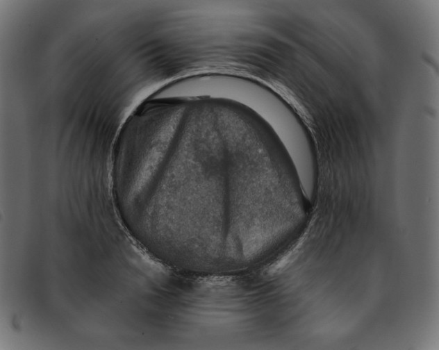 X0000092250846200710121257