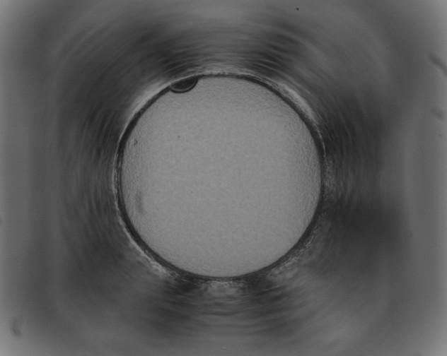X0000092250847200710121257