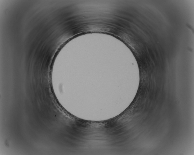 X0000092250848200710121257