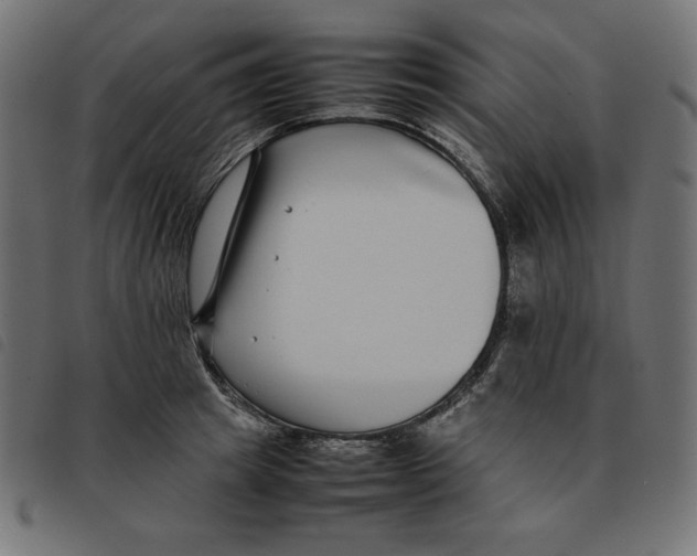 X0000092250849200710121257