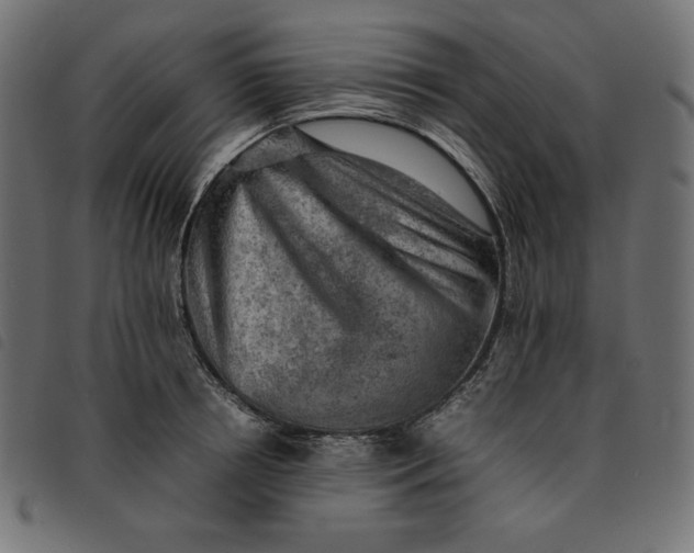X0000092250850200710121257