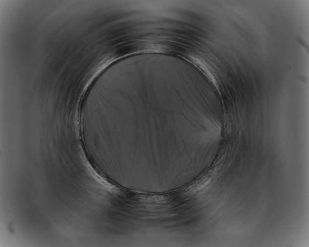 X0000092250851200710121257