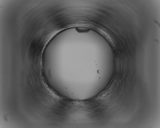 X0000092250852200710121257