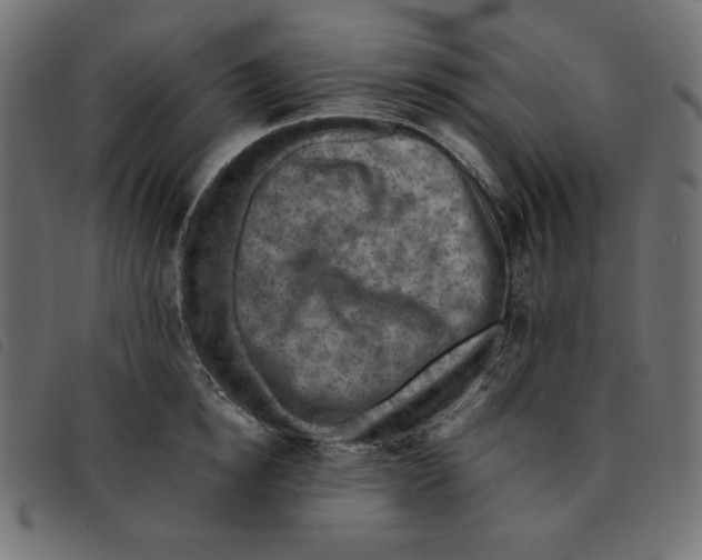 X0000092250854200710121257