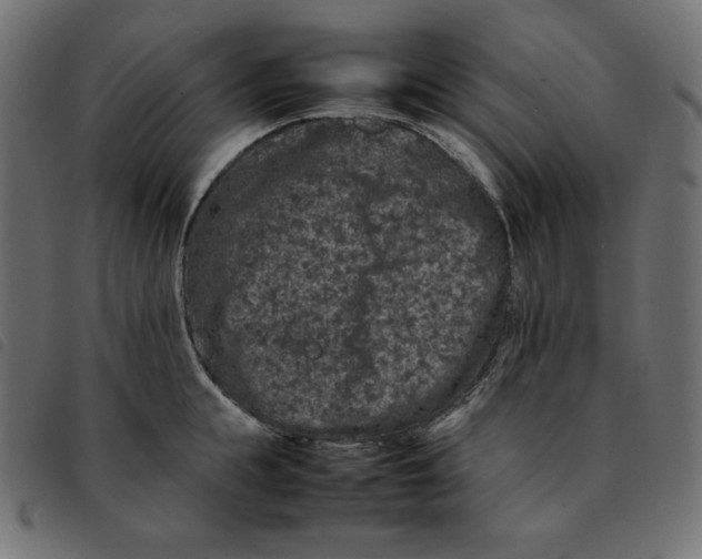 X0000092250855200710121257