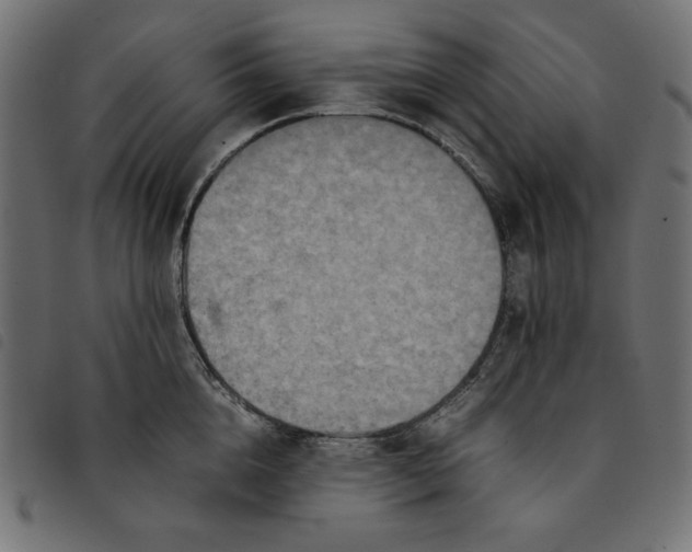 X0000092250856200710121257