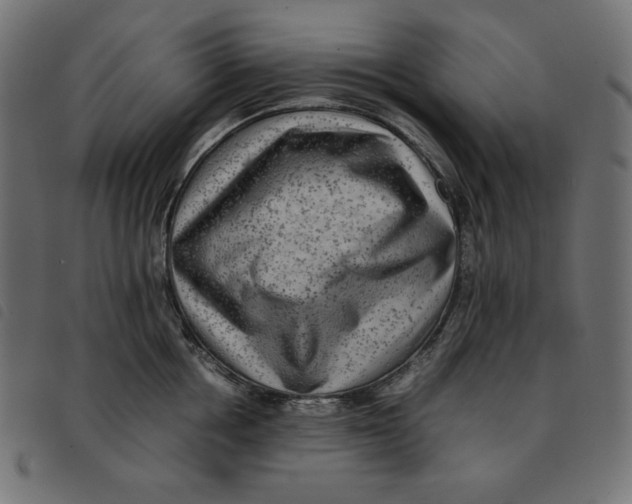 X0000092250858200710121257