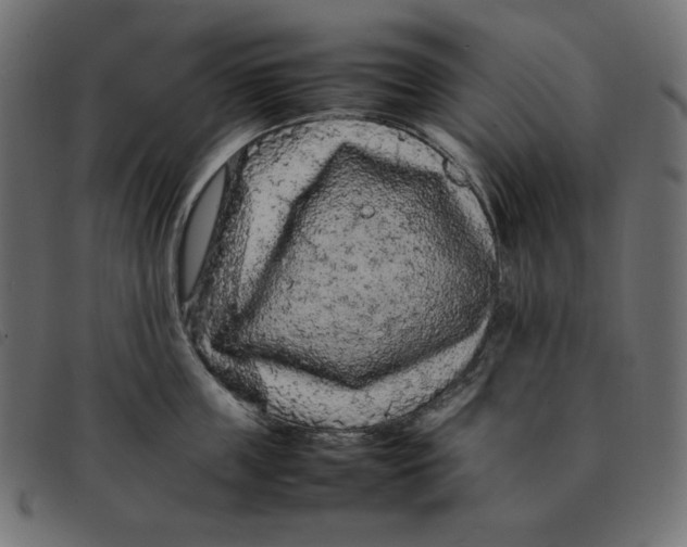 X0000092250859200710121257