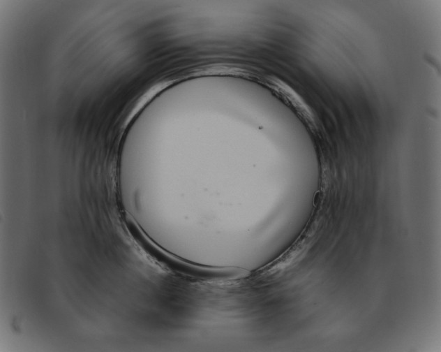 X0000092250860200710121257