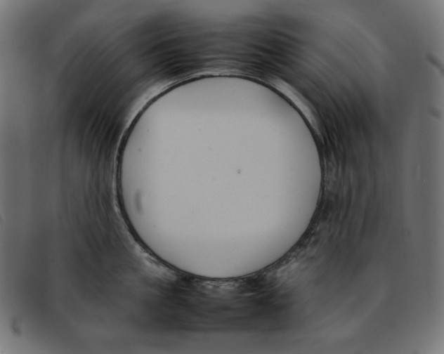 X0000092250861200710121257
