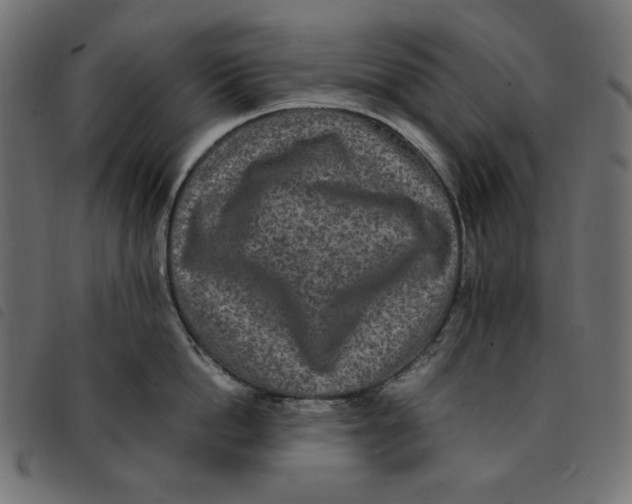 X0000092250862200710121257