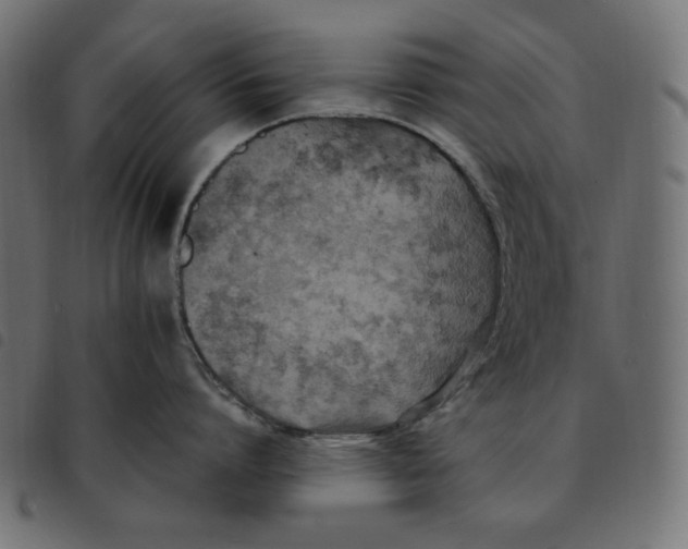 X0000092250864200710121258