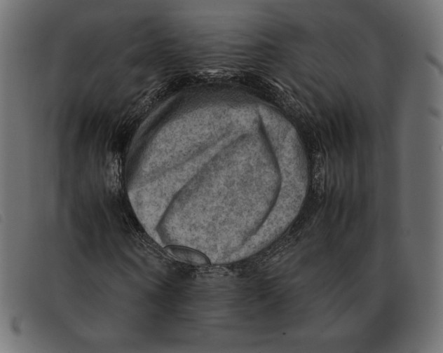 X0000092250866200710121257