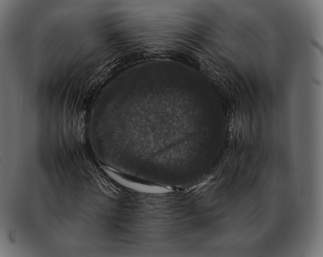 X0000092250868200710121257