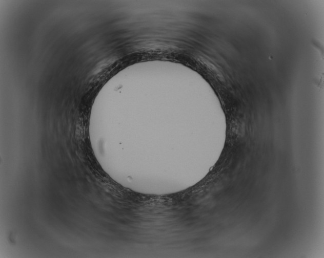 X0000092250869200710121257