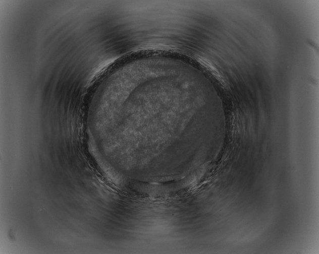 X0000092250872200710121257