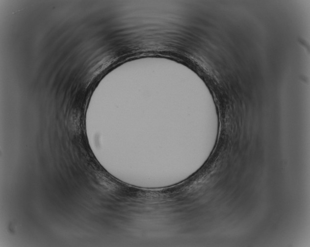 X0000092250873200710121257