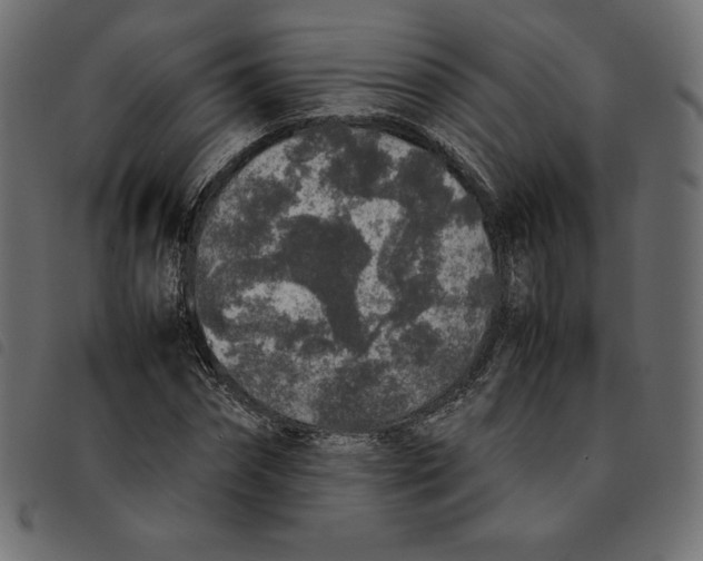 X0000092250874200710121257