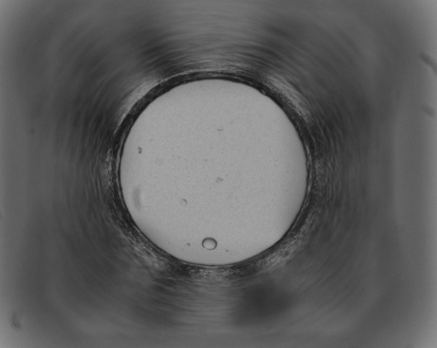 X0000092250875200710121257