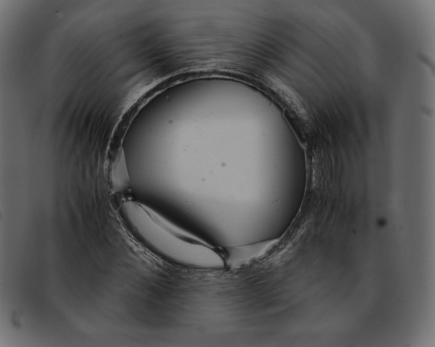 X0000092250876200710121257