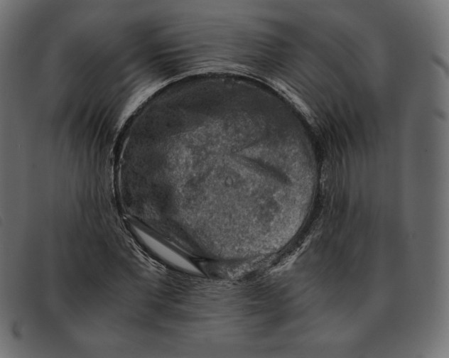 X0000092250877200710121257