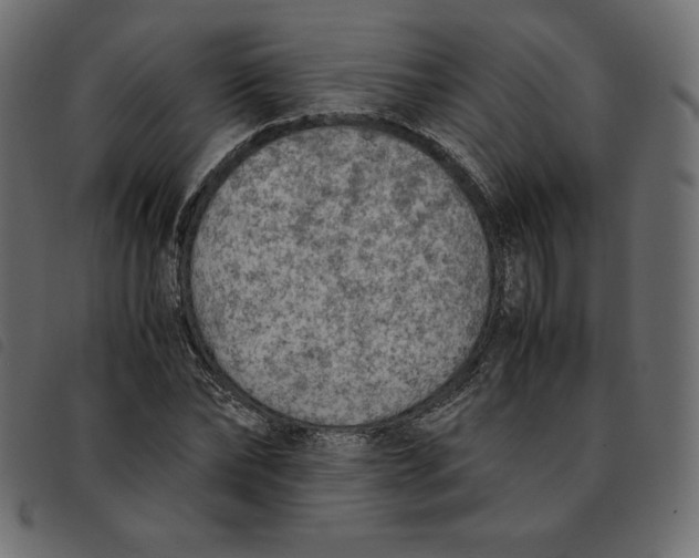 X0000092250878200710121257