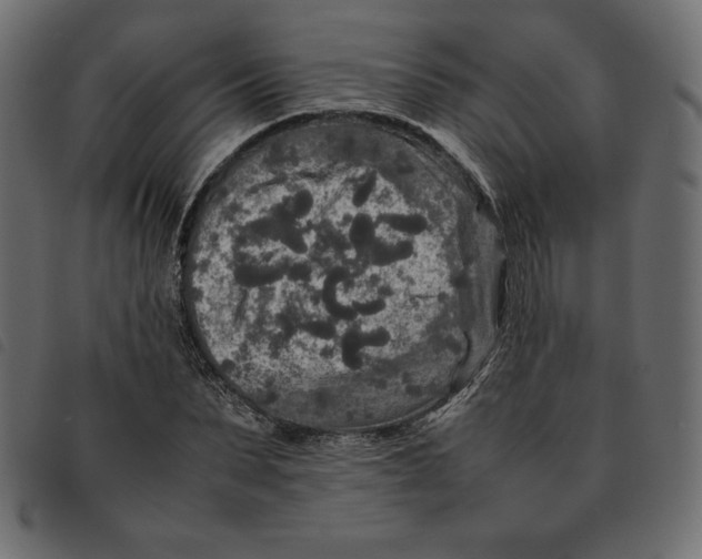 X0000092250879200710121257