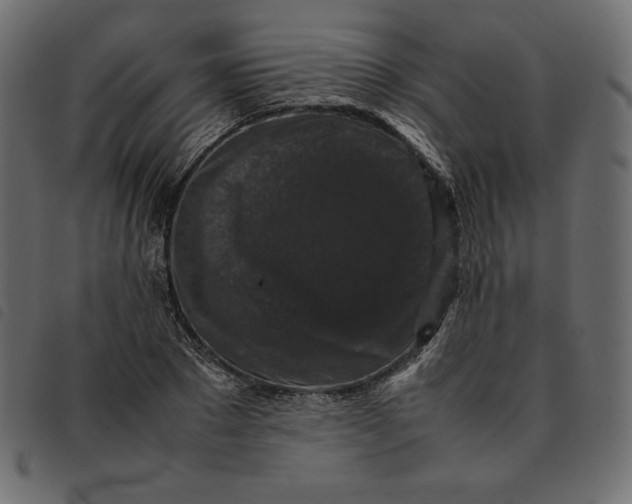 X0000092250881200710121257