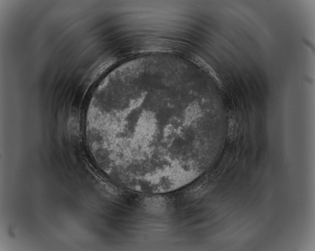 X0000092250882200710121257