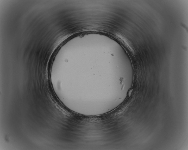 X0000092250884200710121257