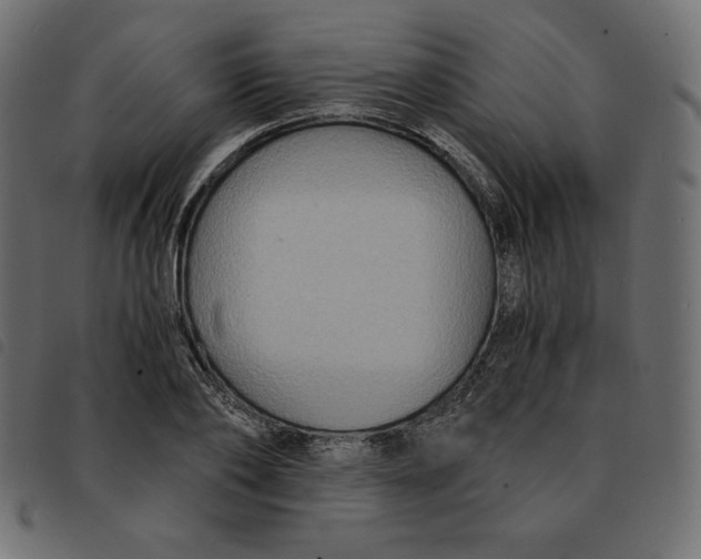 X0000092250886200710121257