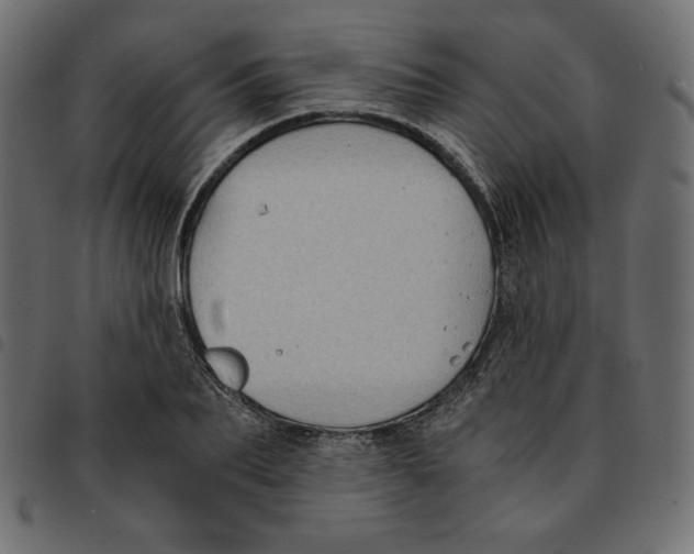 X0000092250887200710121257
