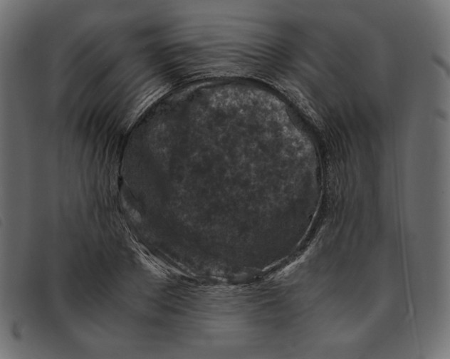 X0000092250889200710121257