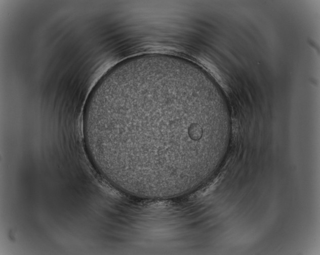 X0000092250891200710121257