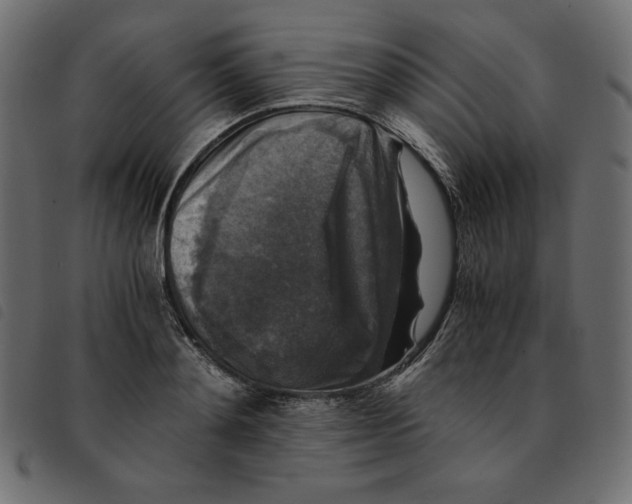 X0000092250892200710121256