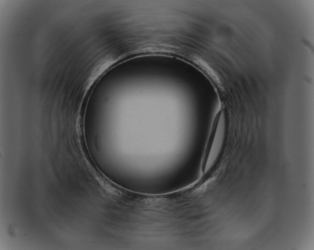 X0000092250893200710121256