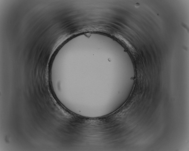 X0000092250894200710121256