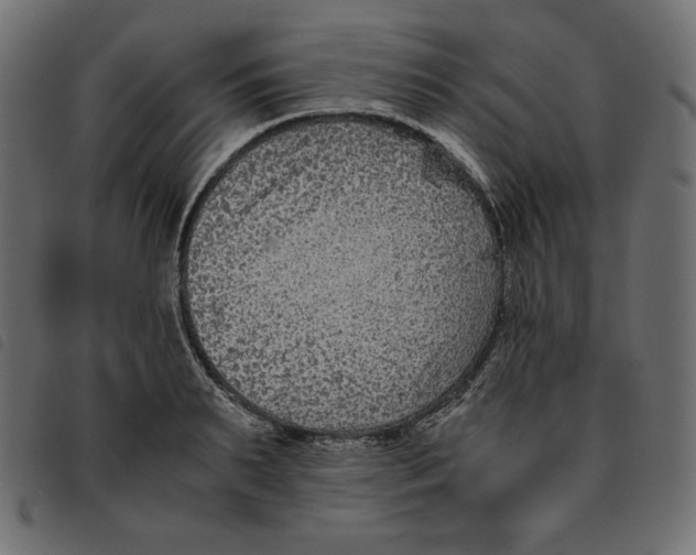 X0000092250895200710121256