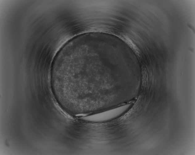 X0000092250896200710121256