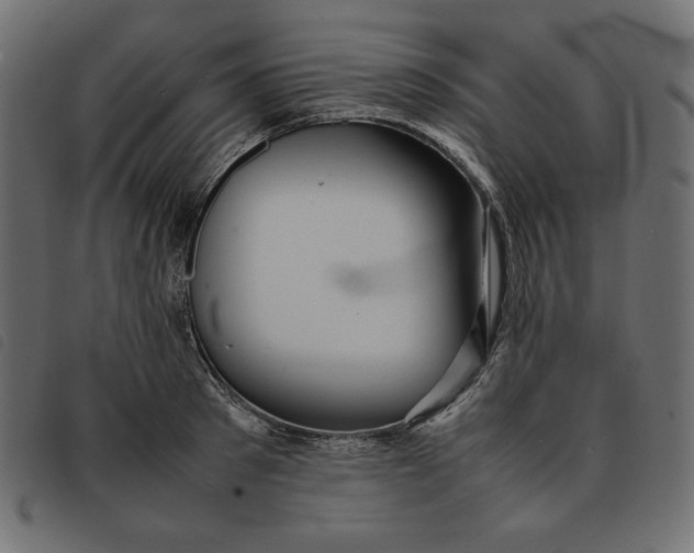 X0000092250897200710121256