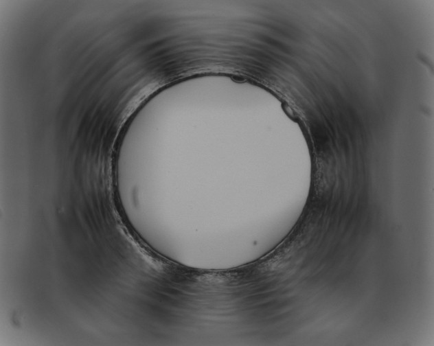 X0000092250898200710121256