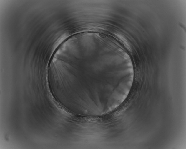 X0000092250899200710121256