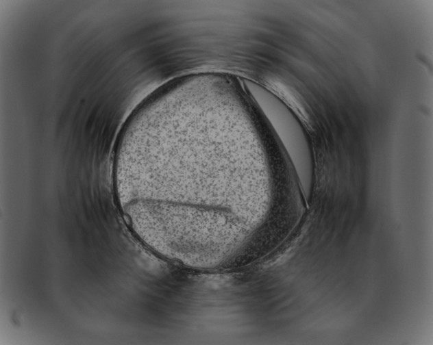 X0000092250900200710121256