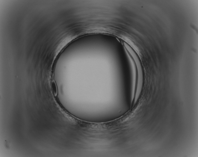 X0000092250901200710121256