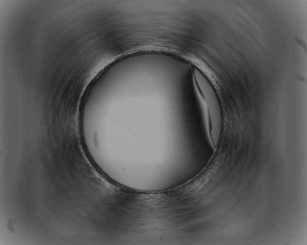 X0000092250902200710121256