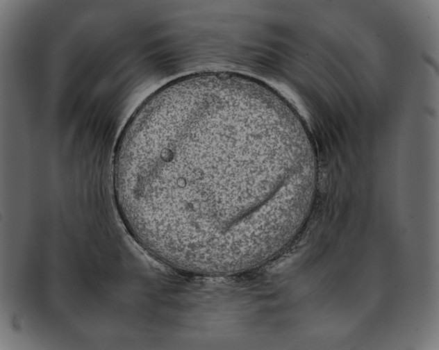 X0000092250903200710121256