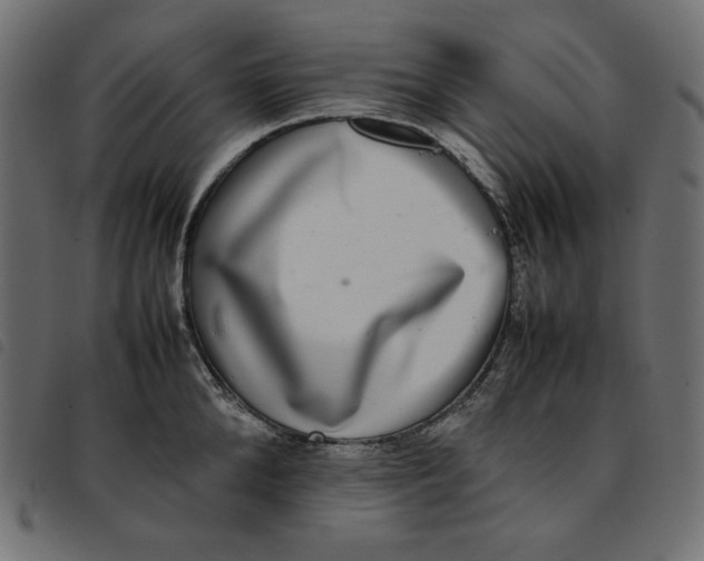 X0000092250904200710121256