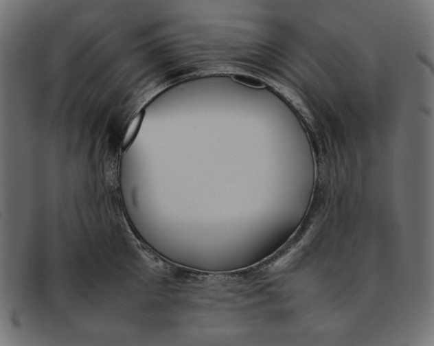X0000092250905200710121256