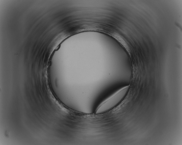 X0000092250906200710121256
