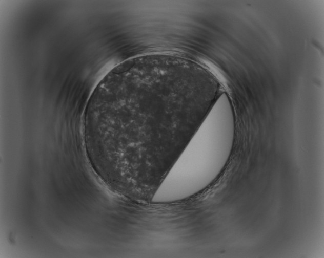 X0000092250907200710121256